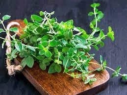 HERBS THAT HELPS TO FIGHT HIV VIRUS AND BOOST IMMUNITY